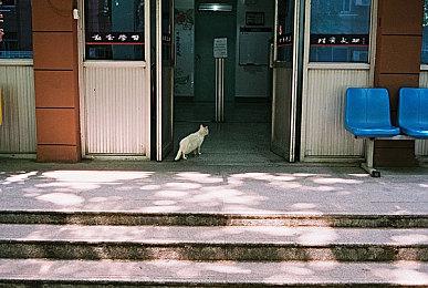 华硕掌机ROG Ally即将在全球推出