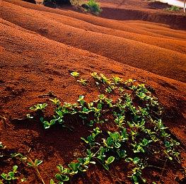 动视CEO鲍比科蒂克：应该允许更多合并 以便与腾讯竞争