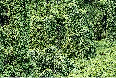 《装甲核心6》将会富有挑战 BOSS战很有难度